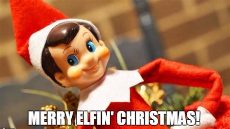 christmas meme elf|More.